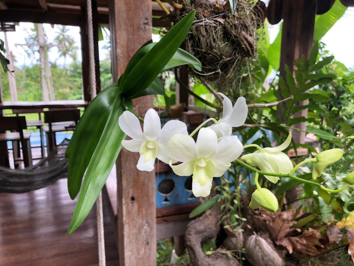 Villa Diva Star Ko Yao Noi Dış mekan fotoğraf